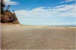 Bates Beach, Seal Bay looking NW