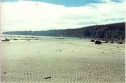 Bates Beach and Seal Bay