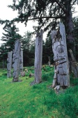 Queen Charlotte Islands - Photo Credit: Super Natural British Columbia