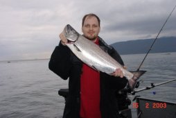 A beautiful Chinook Salmon / King Salmon  - © Kanada News