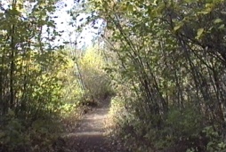 Hiking trails along Shuswap Lake - © Kanada News