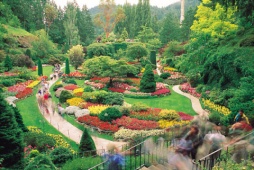 Butchart Gardens, Victoria - (Photo Credit: Tourism British Columbia)