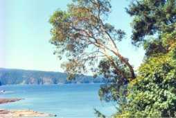 Salt Spring Island has wonderful beaches