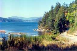 Welcome to Salt Spring Island!